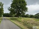 Działka budowlana Szczepanowice gm. Pleśna - 2