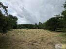 Działka budowlana Szczepanowice gm. Pleśna - 4