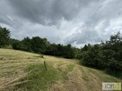 Działka budowlana Szczepanowice gm. Pleśna - 5