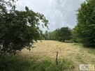 Działka budowlana Szczepanowice gm. Pleśna - 7