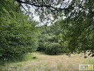 Działka budowlana Szczepanowice gm. Pleśna - 9