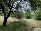 Działka budowlana Szczepanowice gm. Pleśna - 11