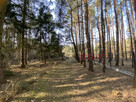 Działka rekreacyjna Siestrzeń gm. Żabia Wola, - 1
