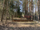Działka rekreacyjna Siestrzeń gm. Żabia Wola, - 3