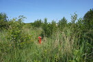 Działka nad morzem - 4