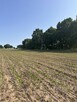 Działka w Radzanku–Gm.Maszewo war.zabud. - 2