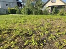 Działka budowlana w otoczeniu zieleni - 6
