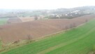 Działka rolna Nieszkowice Małe gm. Bochnia - 5