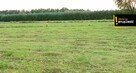 Działka siedliskowa Celiny gm. Raków, - 5
