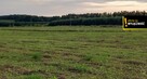 Działka siedliskowa Celiny gm. Raków, - 6