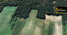 Działka siedliskowa Celiny gm. Raków, - 7