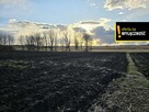 Działka rolna Górki gm. Wiślica, - 2