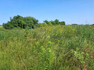 Działka budowlana Kościan, - 4