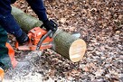 kurs pilarz, piły spalinowe, kosy, rębaki do drewna, trak - 2