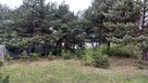 Usługi glebogryzarka Międzyrzecz Sulechów Nowa Sól Żary - 6
