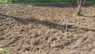 Usługi glebogryzarka Międzyrzecz Sulechów Nowa Sól Żary - 5
