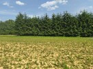 Działka budowlana w miejscowości Siedliska - 13