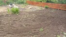 Usługi glebogryzarka Międzyrzecz Sulechów Nowa Sól Żary - 3