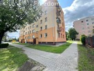 Przytulne mieszkanie w doskonałej lokalizacji! - 9