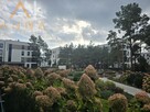Mieszkanie na osiedlu Botanika, Toruń - 12