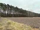 Działka inwestycyjna Rakowo gm. Czerniejewo, - 9