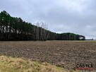 Działka inwestycyjna Rakowo gm. Czerniejewo, - 12