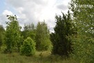 Działka budowlana Sikorzyno gm. Stężyca - 9