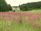 Działka budowlana z WZ Łapka k/Barczewa - 6