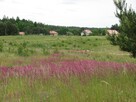 Działka budowlana z WZ Łapka k/Barczewa - 7