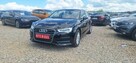 Audi A3 Duża navi, ledy xsenon - 3
