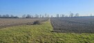 Sprzedam działki budowlane/inwestycyjne w Nieborowie - 2