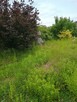 Sprzedam działkę w Białych Błotach 800m2 - 4