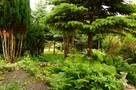 sprzedam - 5