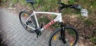 Rower trek dual sport 1 - 1
