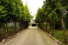 sprzedam - 3
