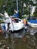 Focus 650 jacht + silnik Tohatsu i przyczepa Tema - 10