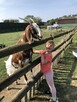 Niania / au pair na wakacje z zamieszkaniem w Londynie - 10