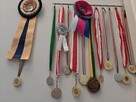 Szczenięta dobermana FCI po Championie z b. dobrym rodowodem - 5