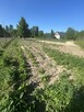 Działka rolna 21 arów Giebułtów gmina Wielka Wieś - 2