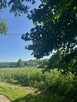 Działka rolna 21 arów Giebułtów gmina Wielka Wieś - 8