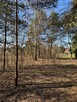 Sprzedam atrakcyjną dzialke okazyjnie - 1