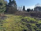 Sprzedam atrakcyjną dzialke okazyjnie - 2