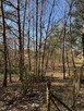 Sprzedam atrakcyjną dzialke okazyjnie - 5