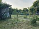 Działka ogródkowa rekreacyjna ROD we Wrocławiu na osobowicac - 7