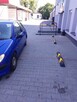 Sprzedam samochód Peugeot 206 - 3