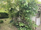 Działka ogródkowa rekreacyjna ROD we Wrocławiu na osobowicac - 10