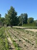 Działka rolna 21 arów Giebułtów gmina Wielka Wieś - 1