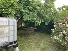 Działka ogródkowa rekreacyjna ROD we Wrocławiu na osobowicac - 2