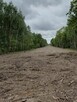 Sprzedam działkę rolno leśną 2h. - 2