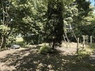 Rokitno Szl, piętrowy dom idealnie dla 2 rodzin, blisko Łazy - 6